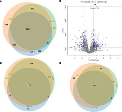 Characterization of Differentially Abundant Proteins Among Leishmania (Viannia) braziliensis Strains Isolated From Atypical or Typical Lesions